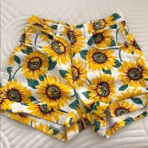 American apparel high waisted sunflower shorts